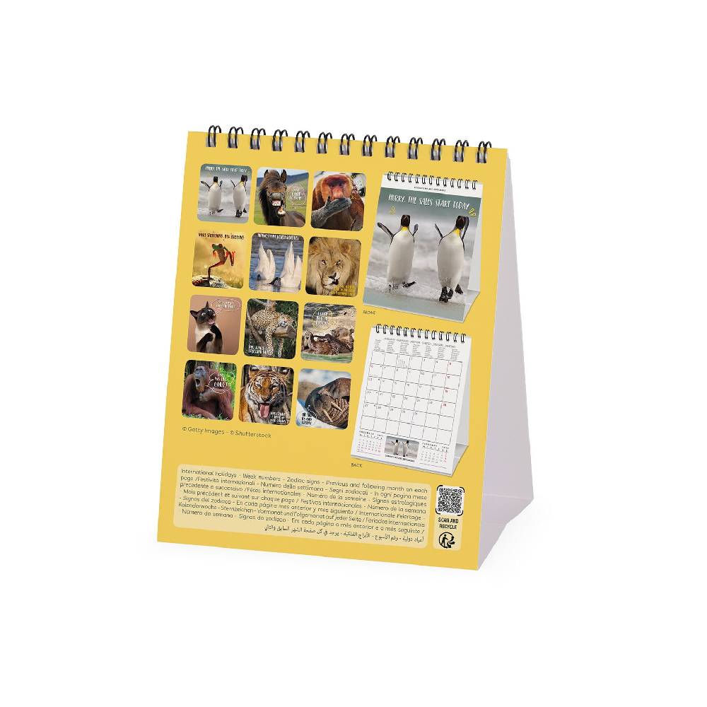 Legami Calendario da Tavolo 2025 - 12 x 14,5 cm Novità