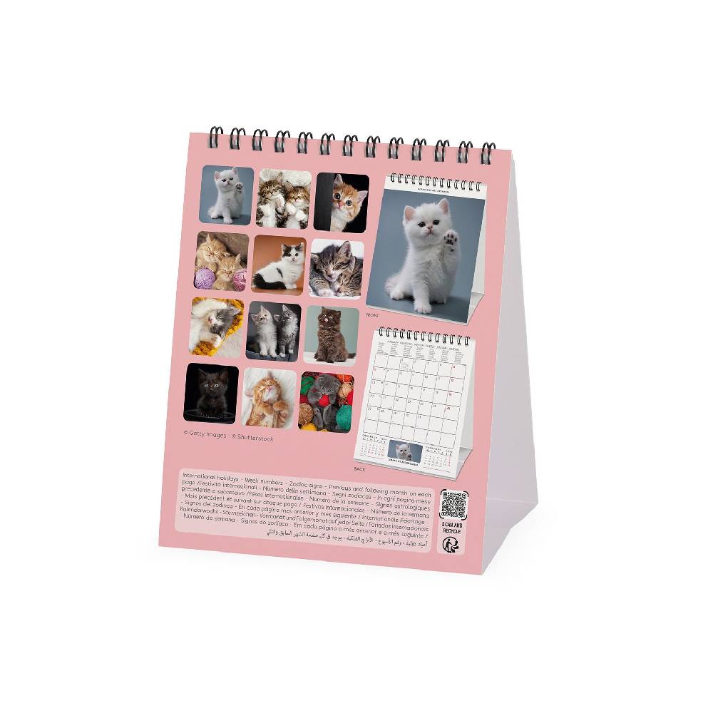 Legami Calendario da Tavolo 2025 - 12 x 14,5 cm Presa