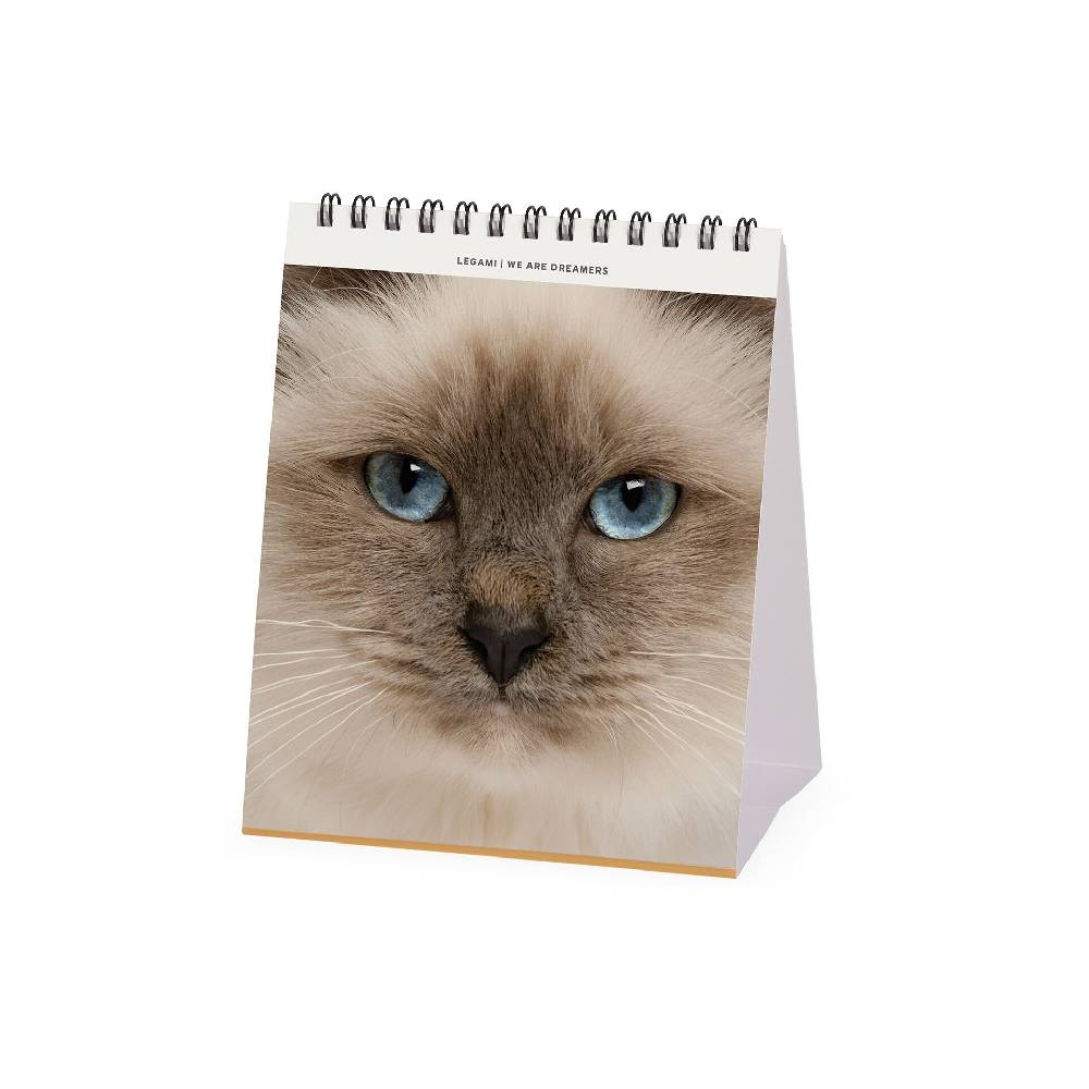 Legami Calendario da Tavolo 2025 - 12 x 14,5 cm Online