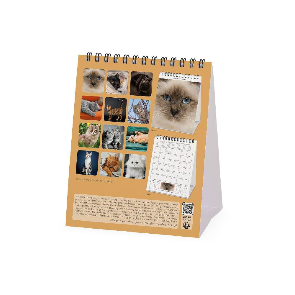 Legami Calendario da Tavolo 2025 - 12 x 14,5 cm Online