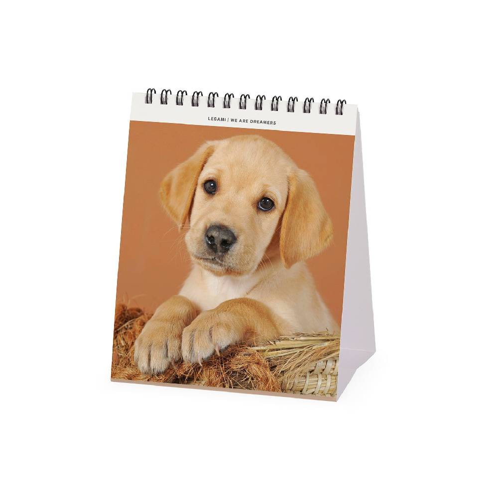 Legami Calendario da Tavolo 2025 - 12 x 14,5 cm Offerte