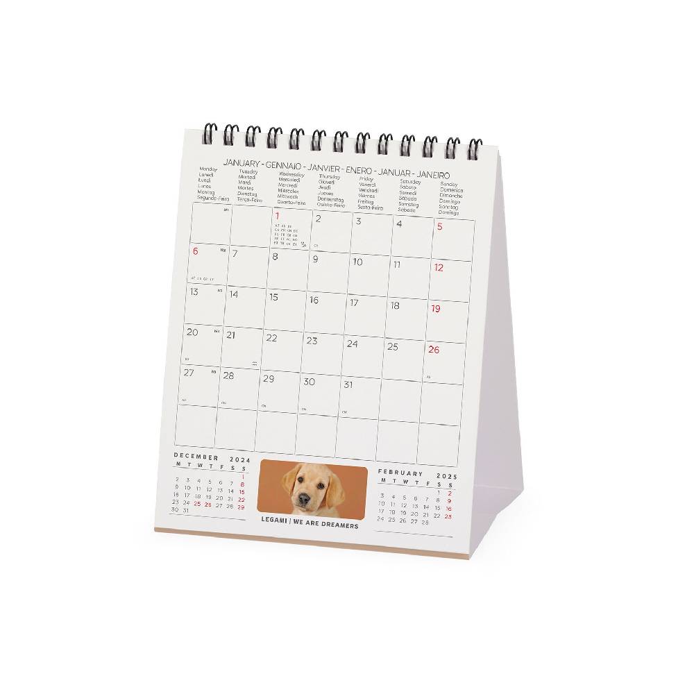 Legami Calendario da Tavolo 2025 - 12 x 14,5 cm Offerte