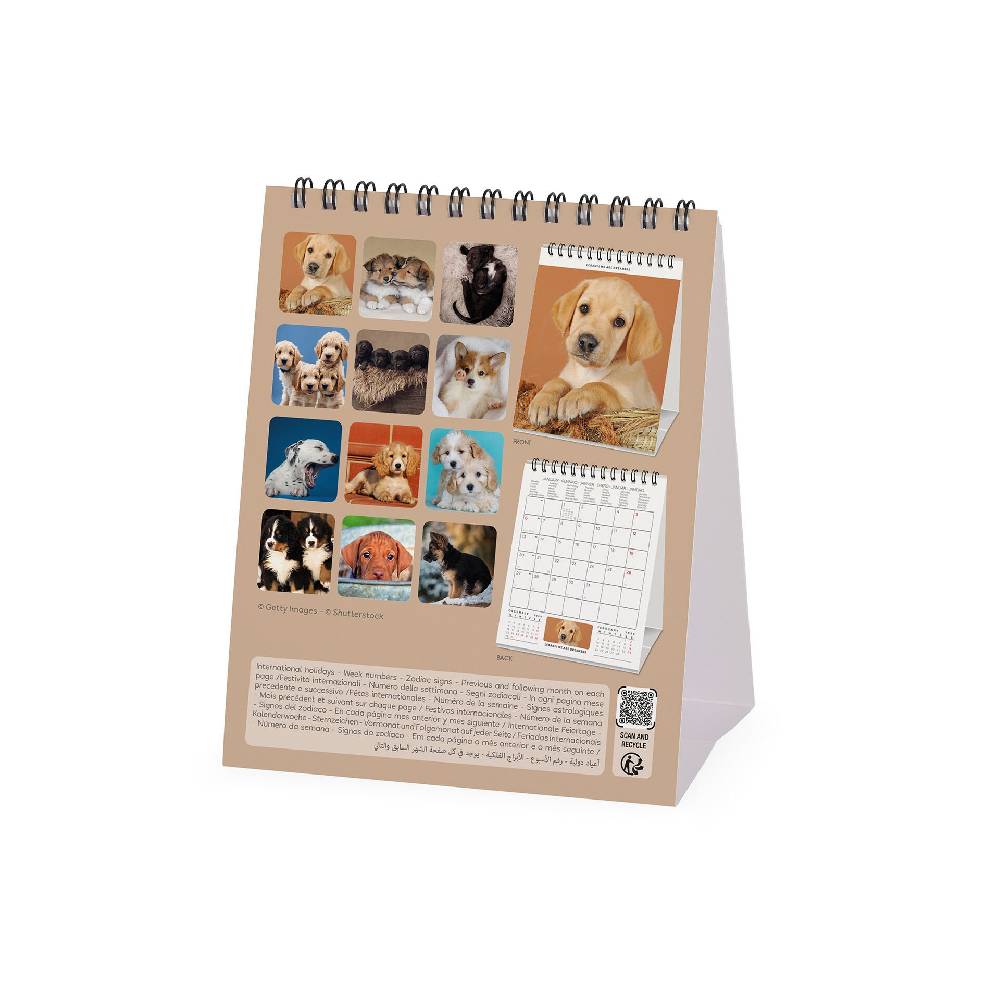 Legami Calendario da Tavolo 2025 - 12 x 14,5 cm Offerte