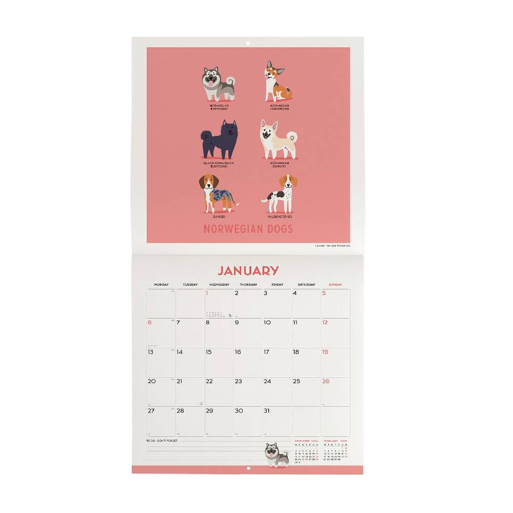 Legami Calendario da Parete 2025 - 30 x 29 cm Nuovo