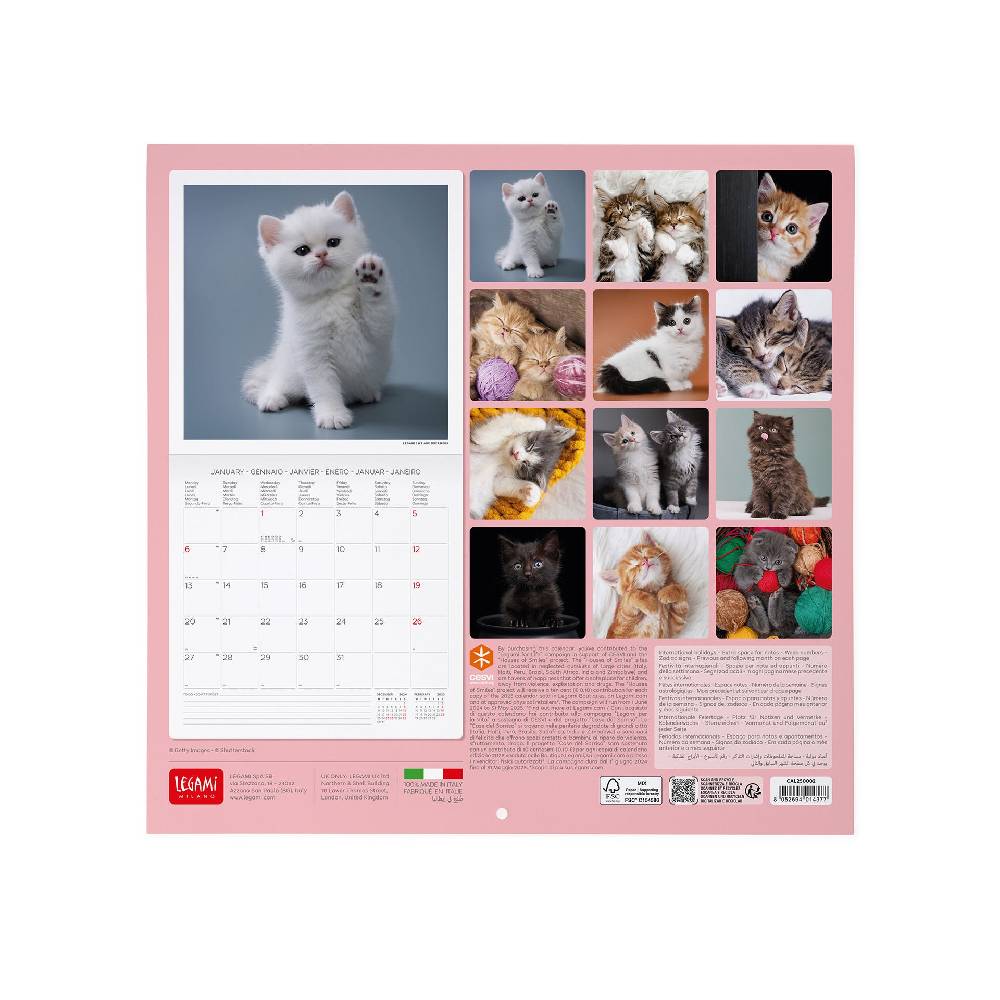 Legami Calendario da Parete 2025 - 30 x 29 cm Spedizione Gratuita