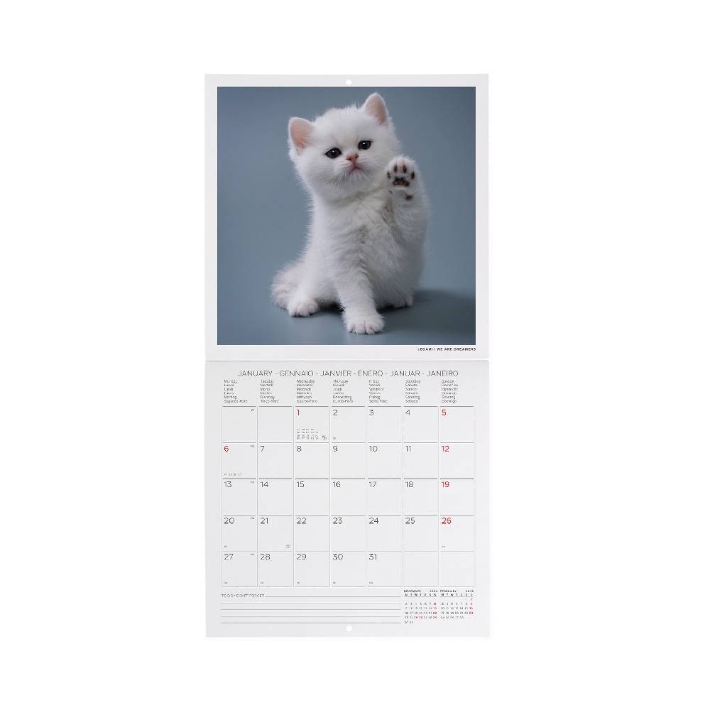 Legami Calendario da Parete 2025 - 18 x 18 cm Qualità Garantita