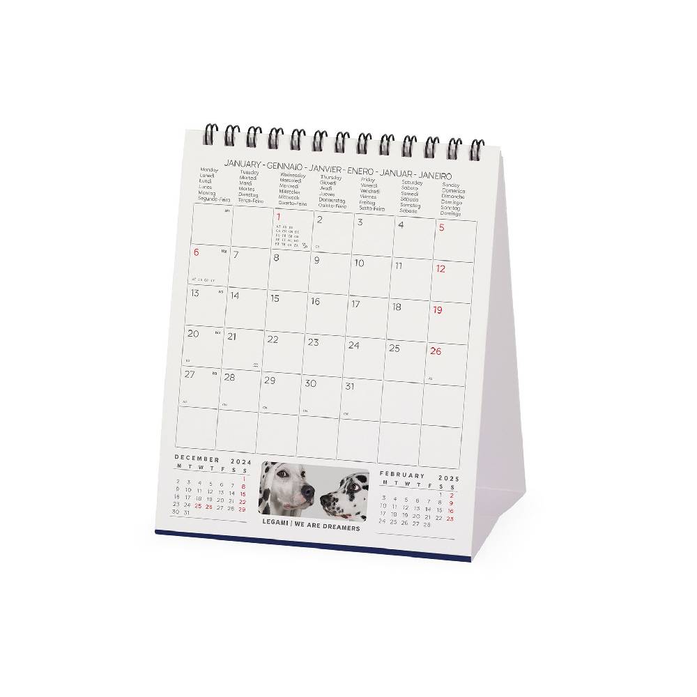 Legami Calendario da Tavolo 2025 - 12 x 14,5 cm Affare Del Giorno