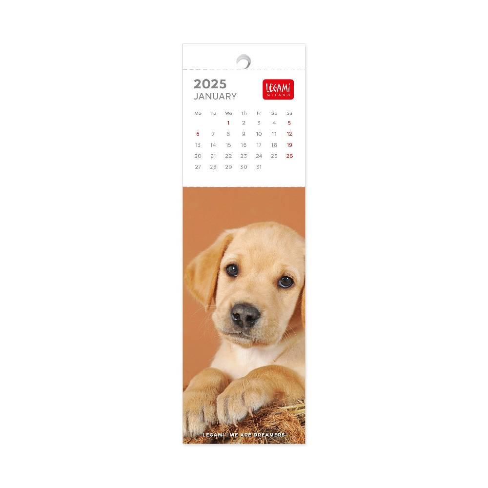 Legami Calendario Segnalibro 2025 - 5,5 x 18 cm Online