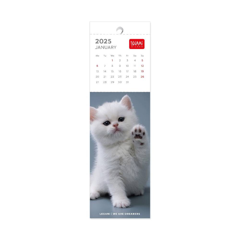 Legami Calendario Segnalibro 2025 - 5,5 x 18 cm Outlet