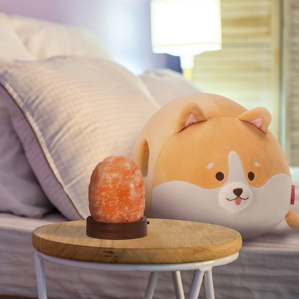 Legami Set Cuscino Corgi e Himalayan Salt Lamp Negozio