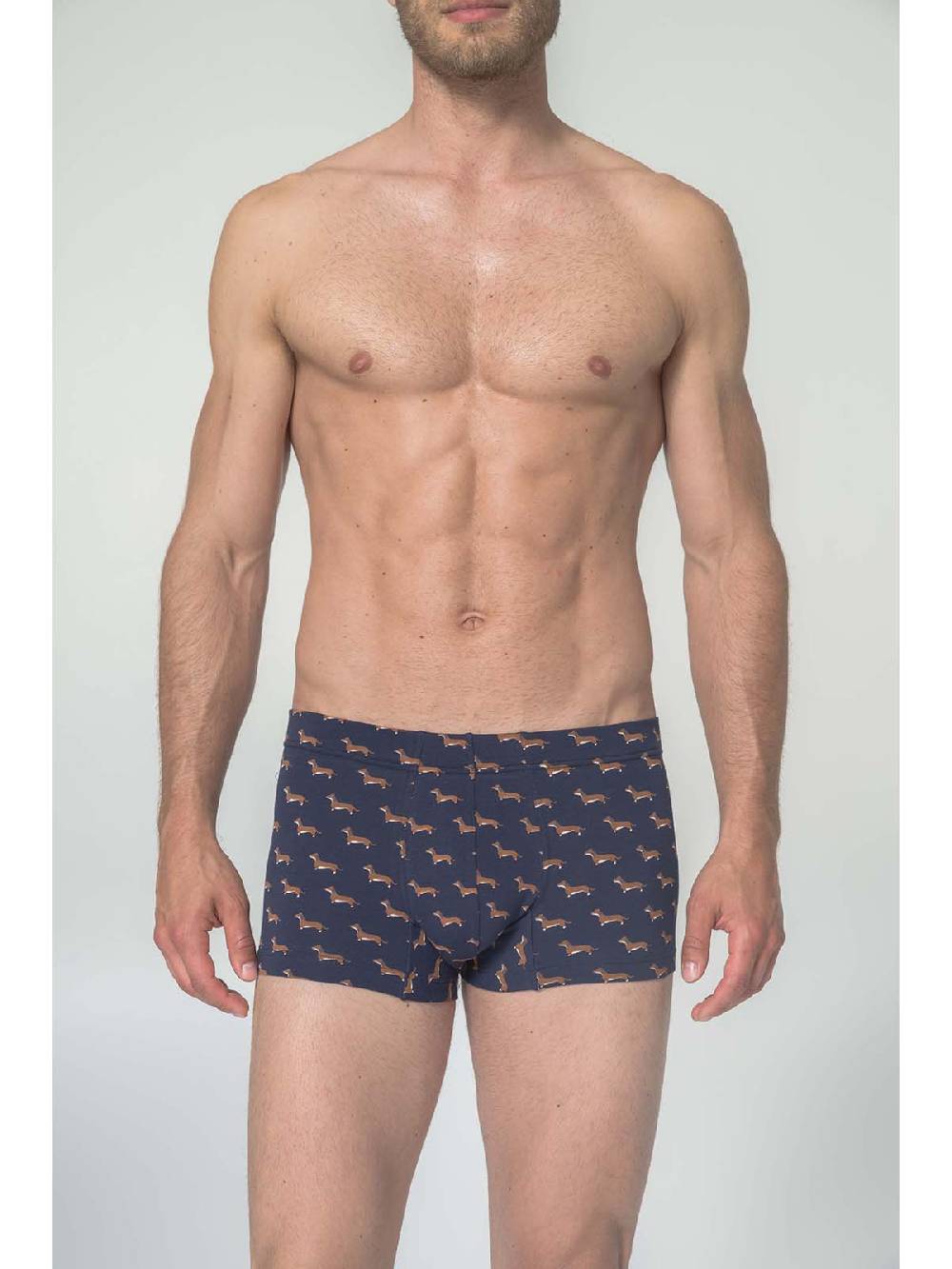 Julipet Boxer in cotone bielastico stampato Affare Del Giorno