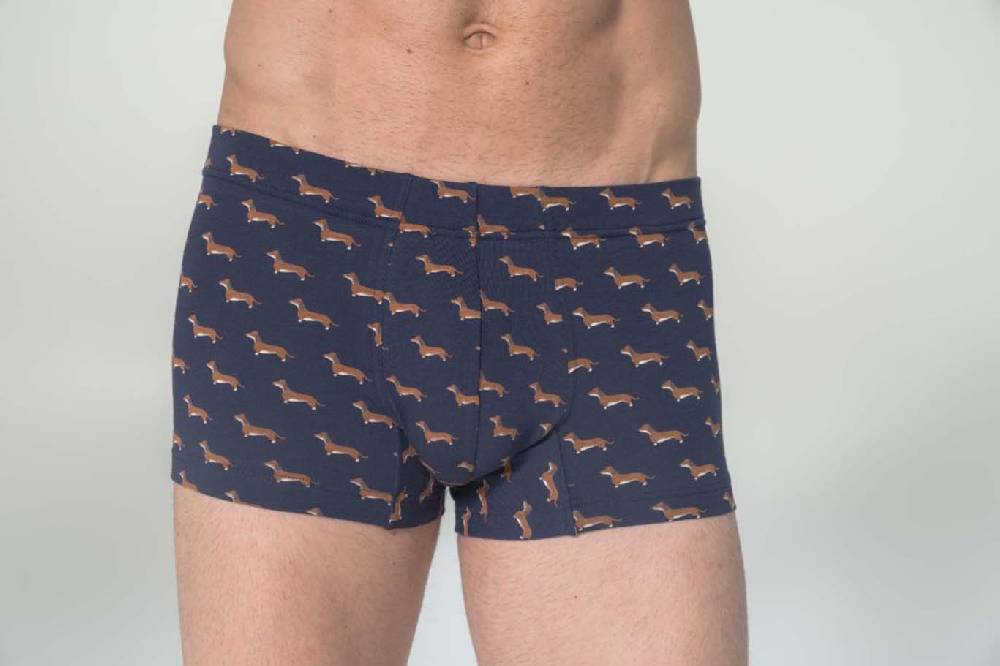Julipet Boxer in cotone bielastico stampato Affare Del Giorno