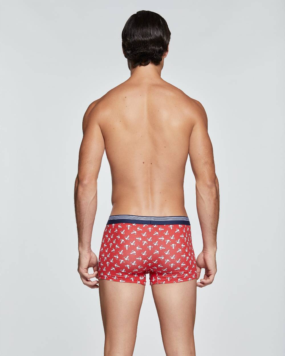 Pompea BOXER COTONE ARCHIMEDE CON FANTASIA ALIENO Presa