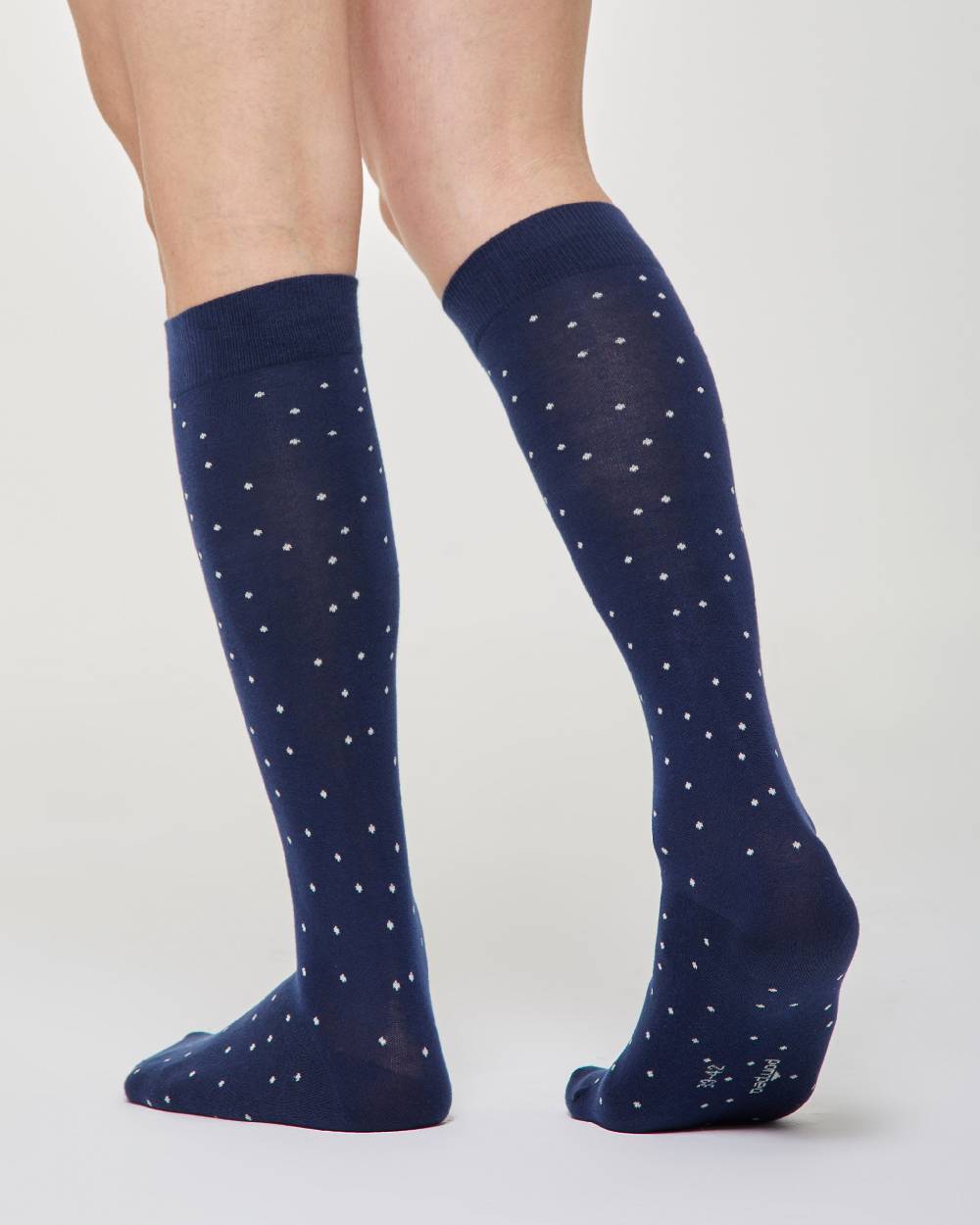Pompea Calza lunga Ermanno cotone micro pois Grande vendita