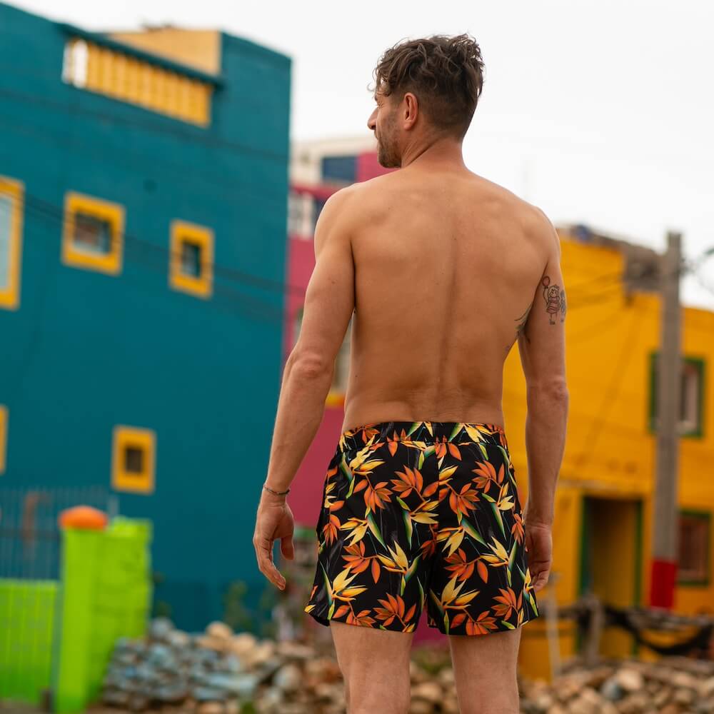 Seay / Costume da Bagno Corto Nero Bird of Paradise Offerta