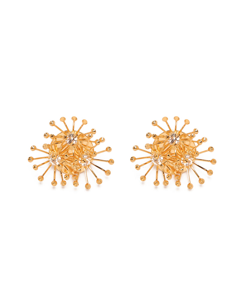 Silvia Gnecchi Anemone Soddisfazione Garantita