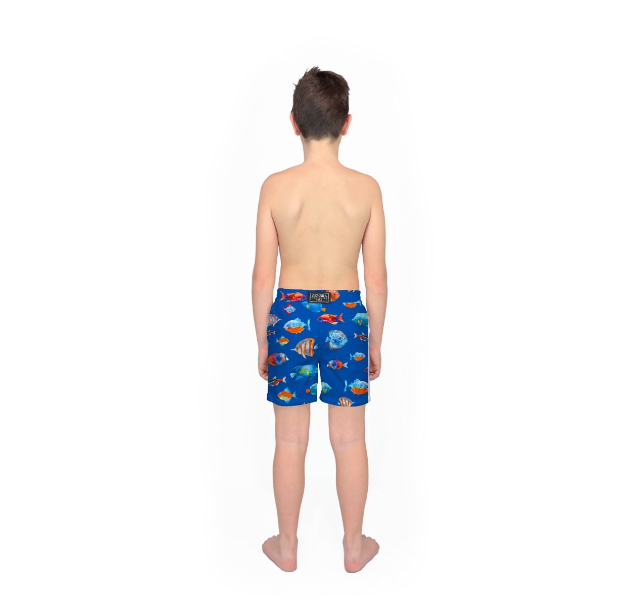Zeybra COSTUME BAMBINO PESCI ELETTRICO Acquista Ora